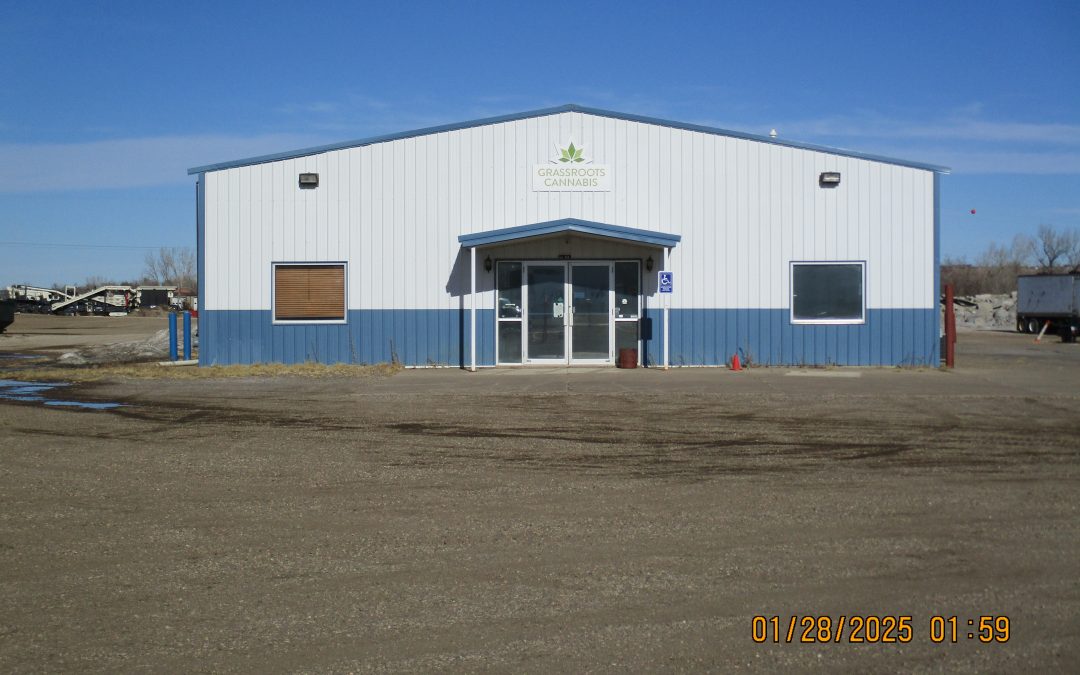 Fine Line Auto, Inc.